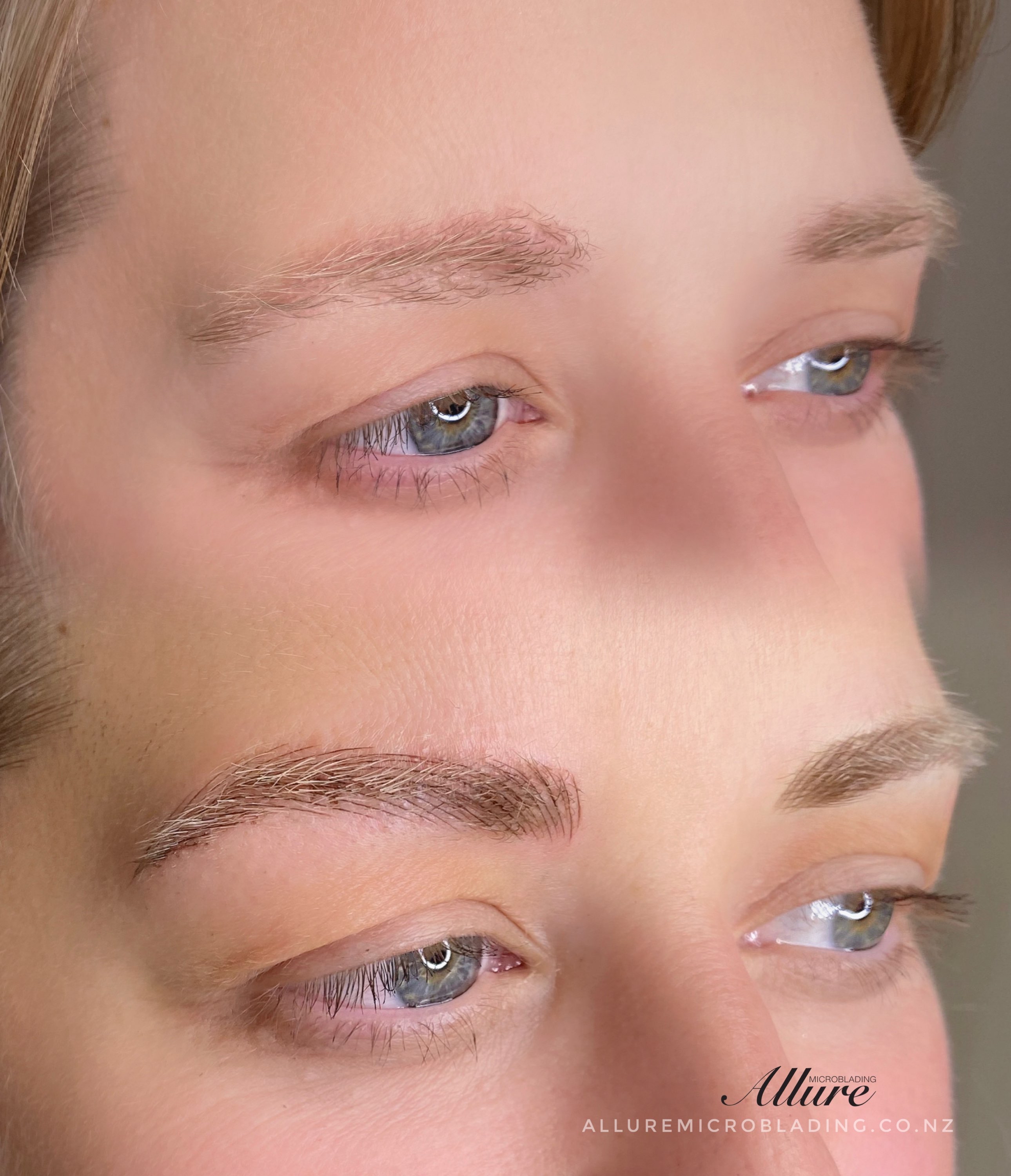 Ombré Powder Brows before and after