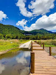 Inmobiliaria guatemala