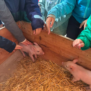 Besuch der 2b am „Reisserhof“ in Neuhofen