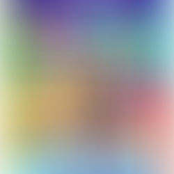 iPad Workshop der 4. Klassen