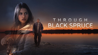 Through Black Spruce Poster