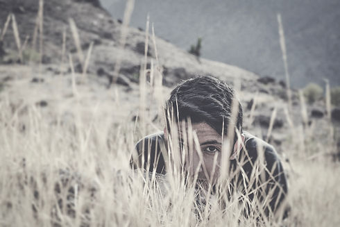 nourdine-diouane-U7mTw0kAm4Q-unsplash co