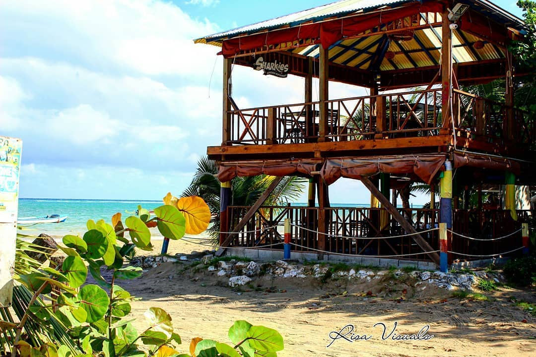 Sharkies Seafood Restaurant