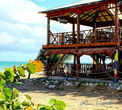 Sharkies Seafood Restaurant