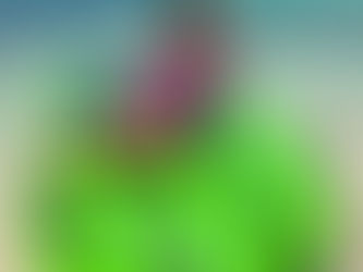 Experience the Beauty of Jamaica: Secure Your Island Excursion Now!