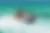 jet ski tour