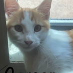 Carson