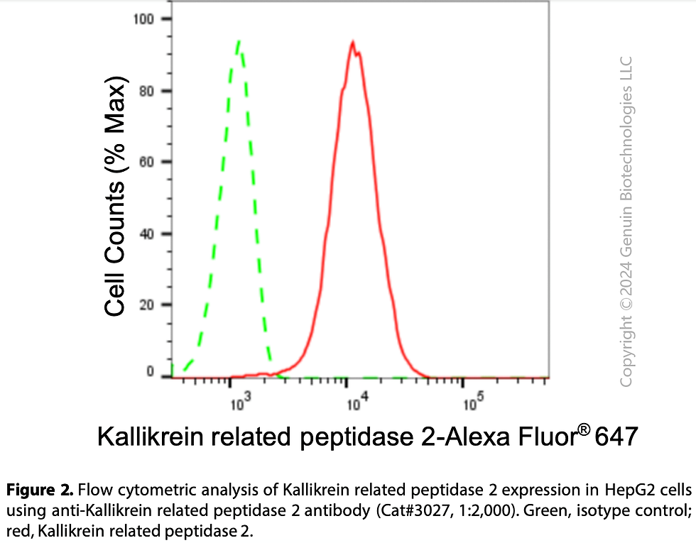 Thumbnail: Anti-Adenosine Deaminase RNA Specific Rabbit mAb #3028
