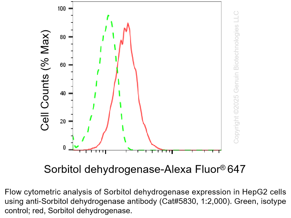 Thumbnail: Anti-SORD Mouse Monoclonal ab #5830