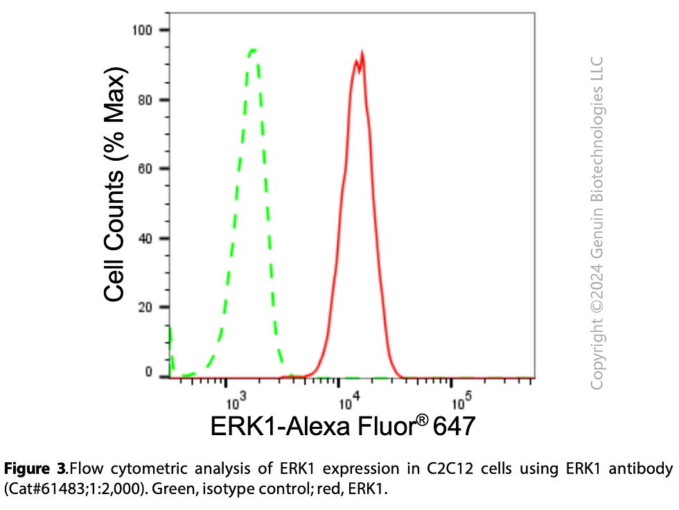 Thumbnail: KD-Validated Anti-ERK1 Rabbit Monoclonal Ab#61483