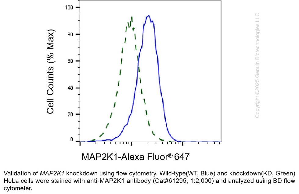 Thumbnail: KD-Validated Anti-MAP2K1 Rabbit mAb #61295