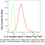 Thumbnail: KD-Validated Anti-IL13 receptor alpha 1 Rabbit Monoclonal Ab#62240