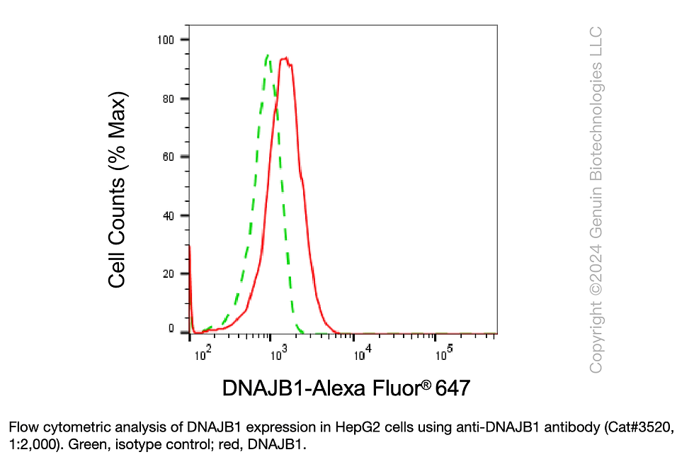Thumbnail: Anti-DNAJB1 Mouse Monoclonal Ab #3520