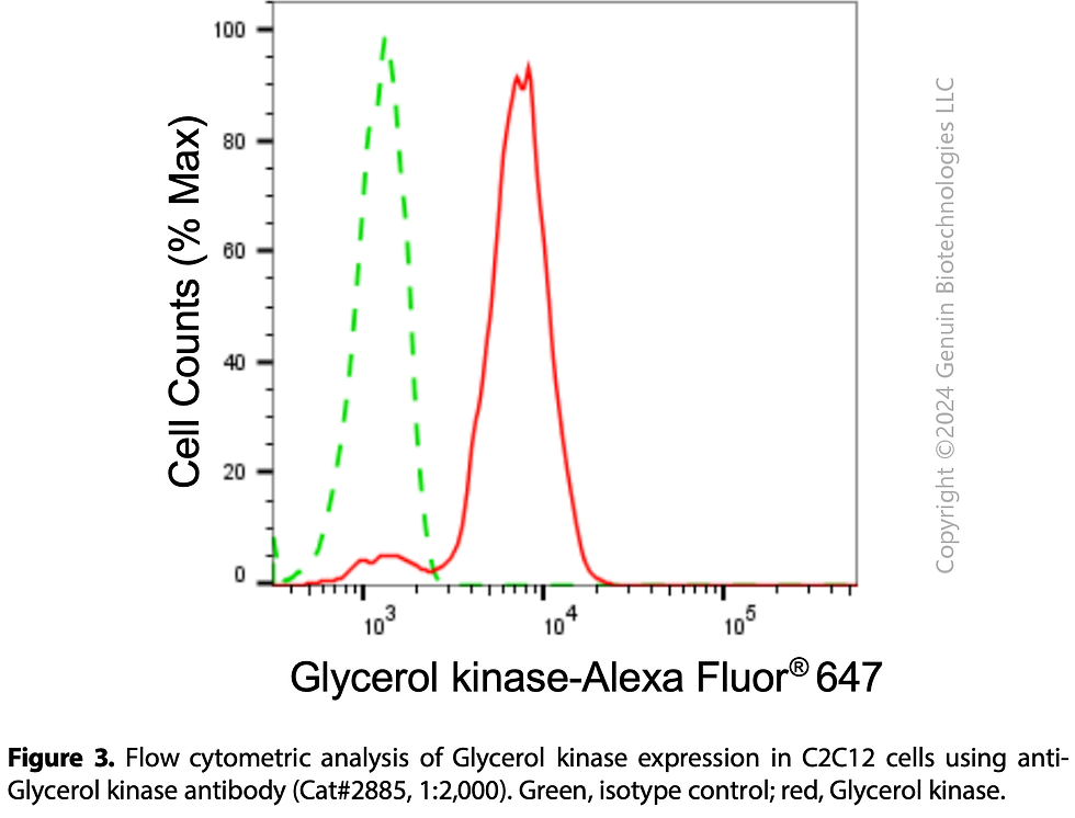 Thumbnail: Anti-Glycerol Kinase Rabbit mAb #2885