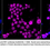 Thumbnail: KD-Validated Anti-PEF1 Rabbit Monoclonal Ab#62544