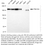 Thumbnail: Anti-TBC1D4 Rabbit Monoclonal Ab #5312