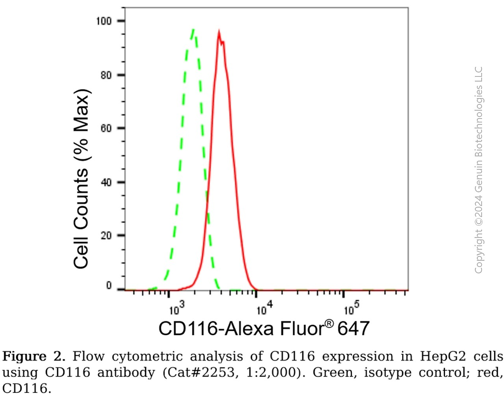 Thumbnail: Anti-CD116 Rabbit mAb #2253