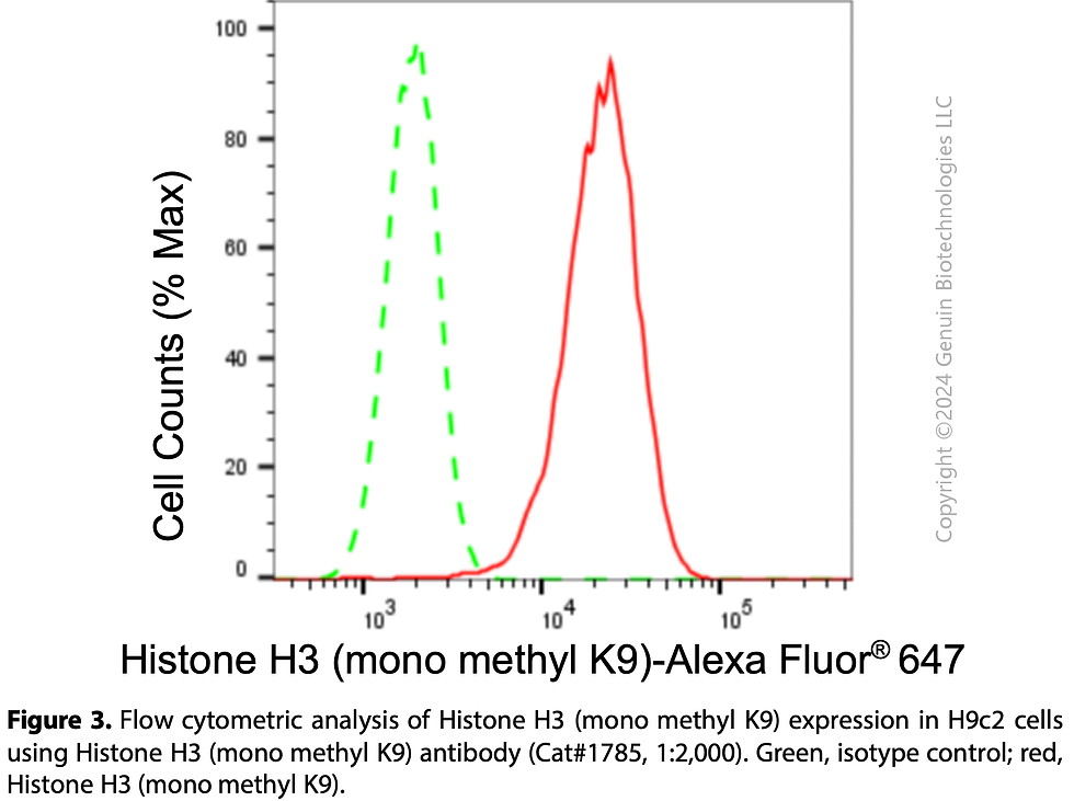 Thumbnail: Anti-Histone H3 (Mono Methyl K9) Rabbit mAb #1785