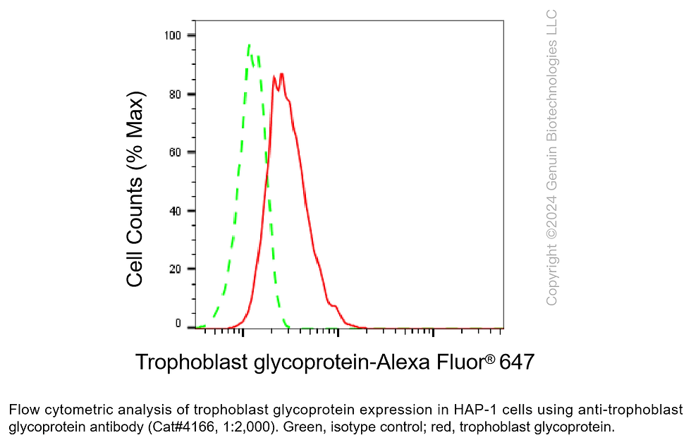 Thumbnail: Anti-Trophoblast Glycoprotein Rabbit Monoclonal Ab #4166