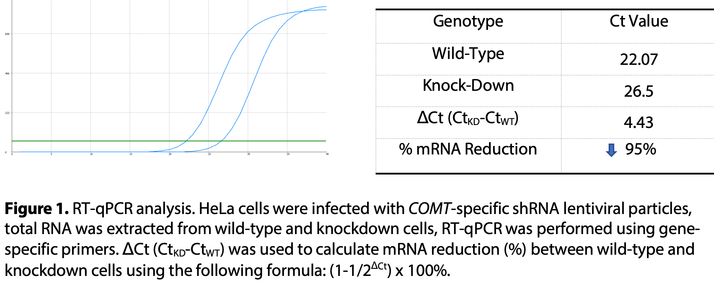 WB-Validated COMT Knockdown Cell Lysate Kit#L61443