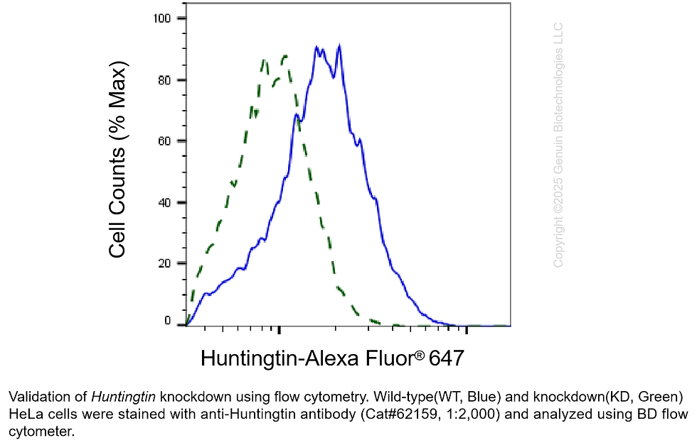 Thumbnail: KD-Validated Anti-Huntingtin Rabbit Monoclonal Ab#62159