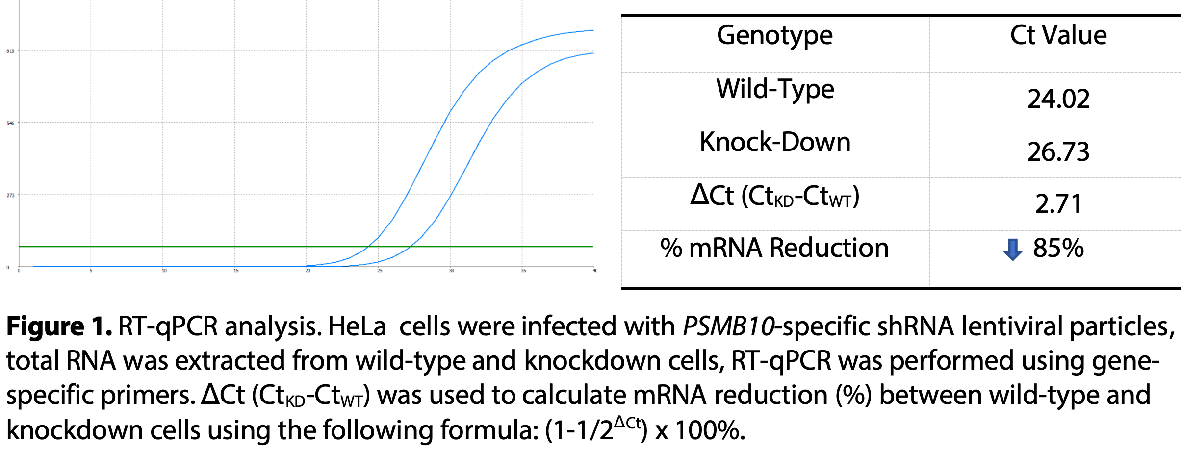 WB-Validated PSMB10 Knockdown Cell Lysate Kit#L61197