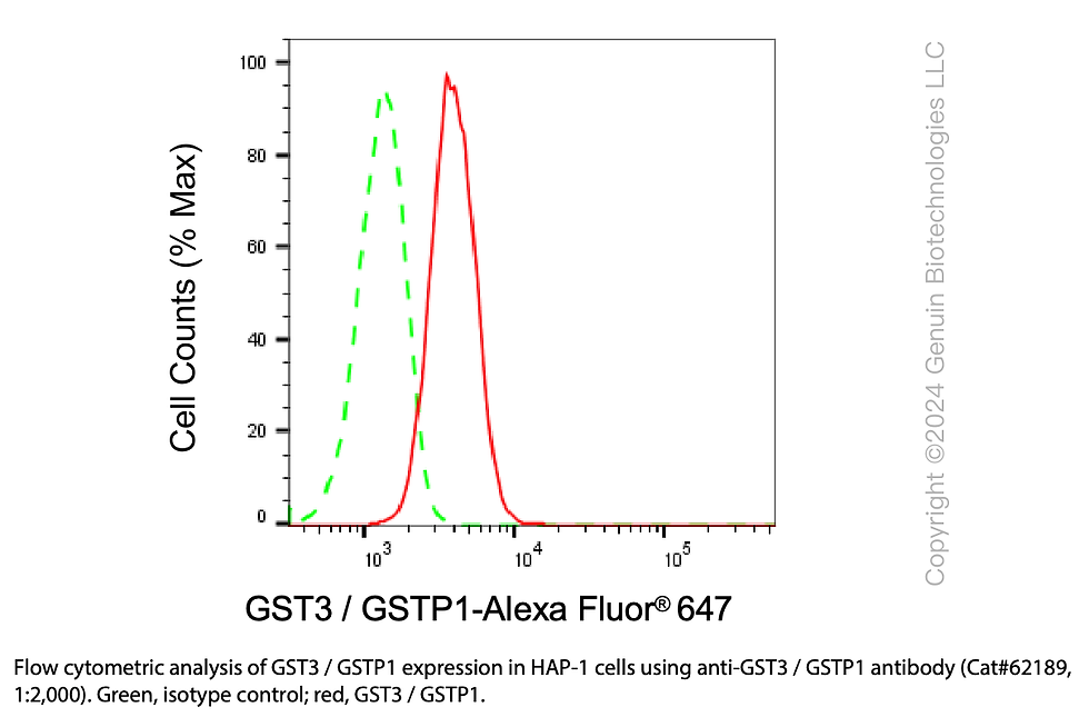 Thumbnail: KD-Validated Anti-GST3 / GSTP1 Rabbit mAb#62189