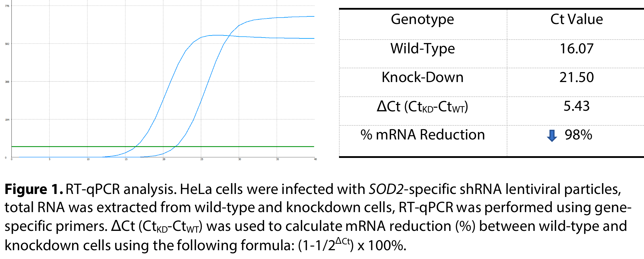 WB-Validated SOD2 Lentiviral shRNA Knockdown Kit #V62706