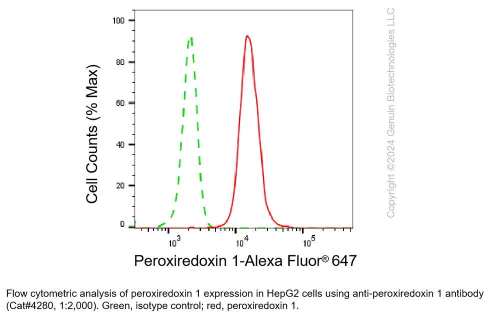 Thumbnail: Anti-Peroxiredoxin 1 Rabbit Monoclonal Ab #4280