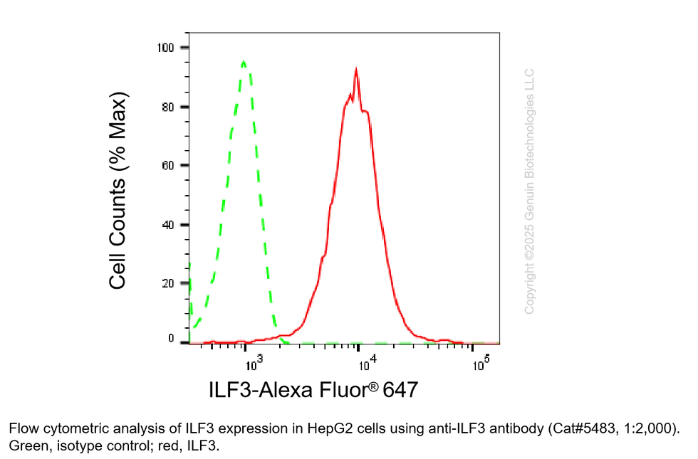 Thumbnail: Anti-ILF3 Rabbit mAb #5483