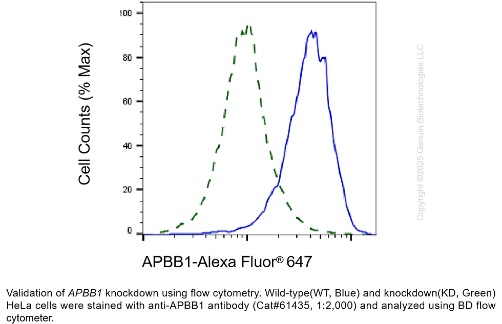 Thumbnail: KD-Validated Anti-APBB1 Rabbit Monoclonal Ab#61435