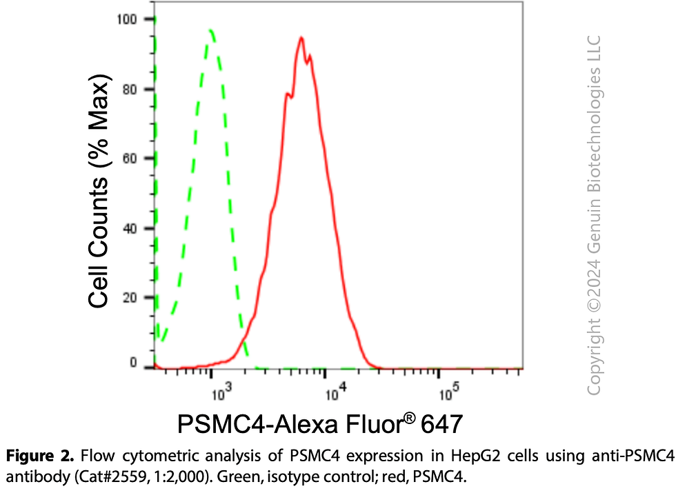 Thumbnail: Anti-PSMC4 Rabbit mAb #2559
