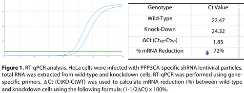 Human PPP3CA Knockdown Cell Line (WB-Validated) #C61275 | GenuIN Biotech