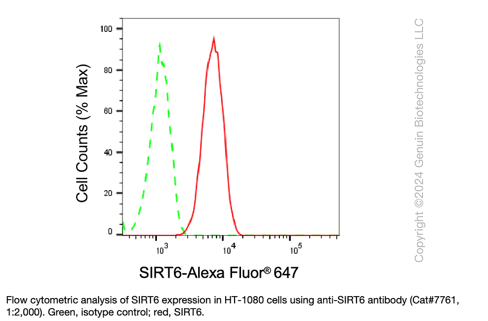 Thumbnail: Anti-Sirtuin 6 Rabbit mAb #7761