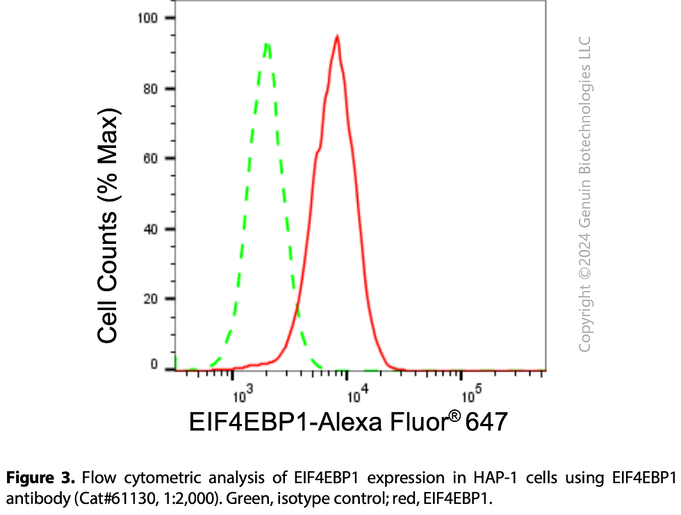 Thumbnail: KD-Validated Anti-EIF4EBP1 Rabbit mAb #61130