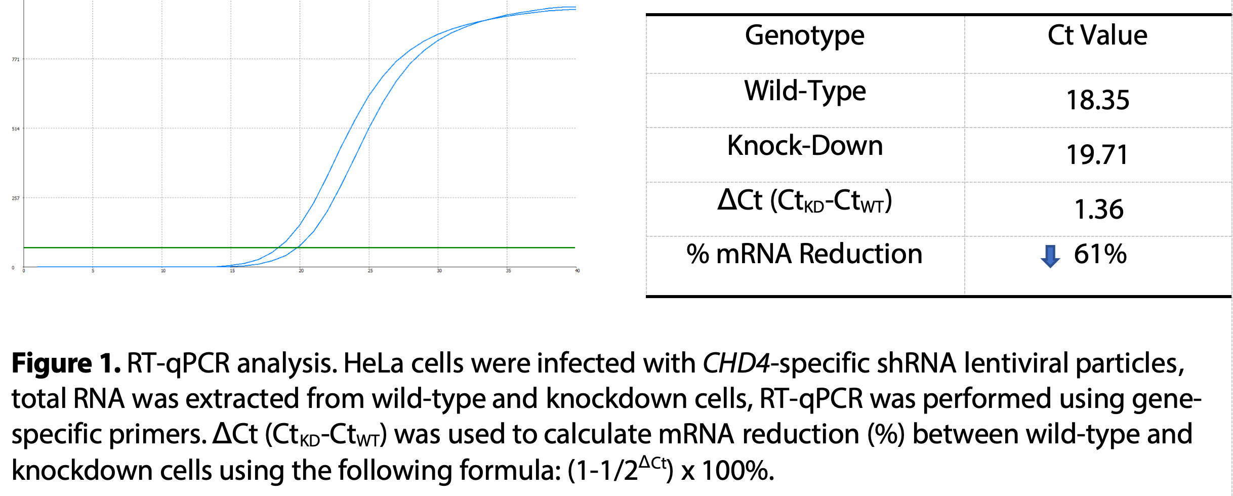WB-Validated CHD4 Knockdown Cell Lysate Kit#L61324