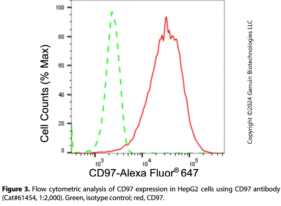 Thumbnail: KD-Validated Anti-CD97 Rabbit Monoclonal Ab#61454