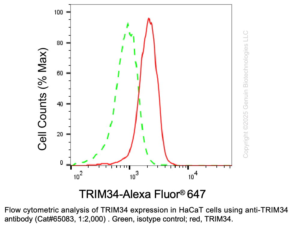 Thumbnail: KD-Validated Anti-TRIM34 Mouse Monoclonal Ab #65083