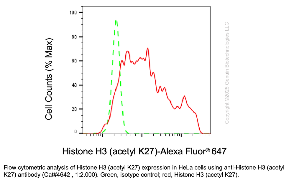 Thumbnail: Anti-Histone H3 (Acetyl K27) Rabbit Monoclonal Ab #4642