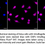 Thumbnail: KD-Validated Anti-Intraflagellar transport 88 Rabbit Monoclonal Antibody#61674