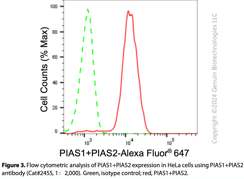 Thumbnail: Anti-PIAS1+PIAS2 Rabbit mAb #2455