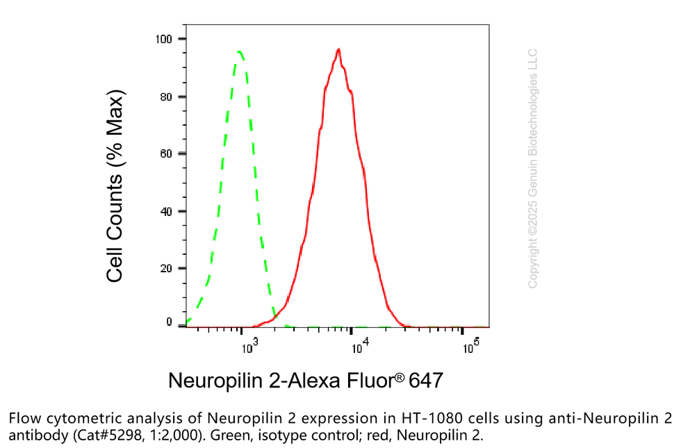 Thumbnail: Anti-NRP2 Mouse Oligoclonal Ab #5298