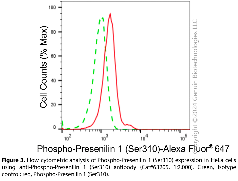 Thumbnail: KD-Validated Anti-Phospho-Presenilin 1 (Ser310) Rabbit Monoclonal Ab#63205