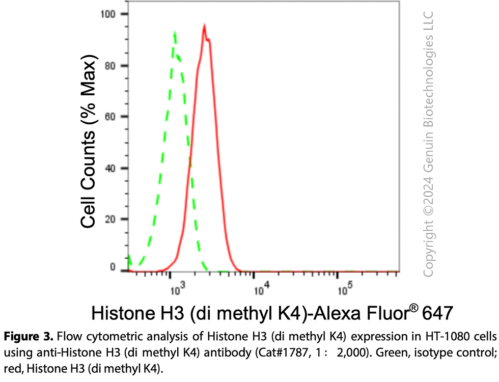 Thumbnail: Anti-Histone H3 (Di Methyl K4) Rabbit mAb #1787
