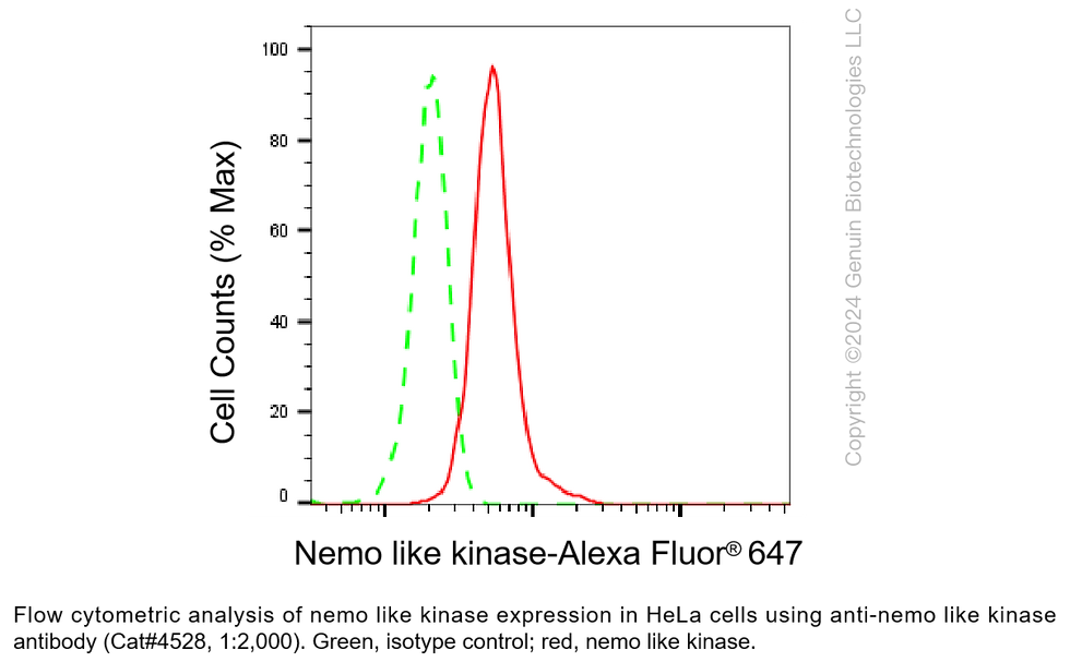 Thumbnail: Anti-Nemo Like Kinase Rabbit Monoclonal Ab #4528