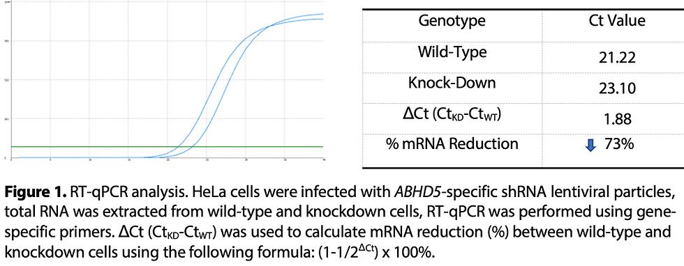 Thumbnail: WB-Validated ABHD5 Lentiviral shRNA Knockdown Kit #V61417