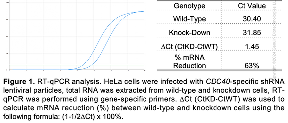 Cdc40 Human CDC40 Knockdown Cell Line (WB-Validated) #C61387 | GenuIN Biotech