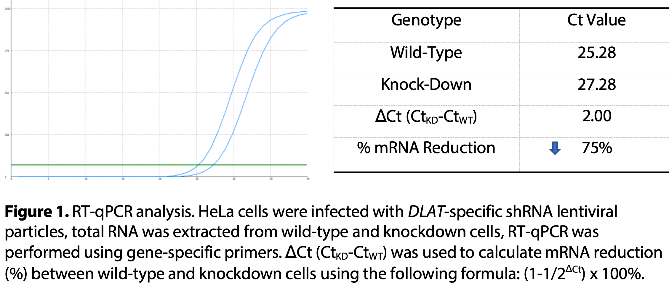 WB-Validated DLAT Knockdown Cell Lysate Kit#L2417