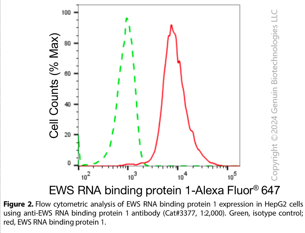Thumbnail: Anti-EWS RNA Binding Protein 1 Rabbit Monoclonal Ab#3377