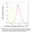 Thumbnail: KD-Validated Anti-Fumarate Hydratase Mouse mAb #64801